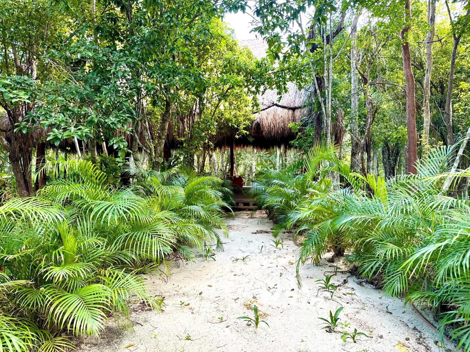 Готель Glamping Bunga Lotus Тулум Екстер'єр фото